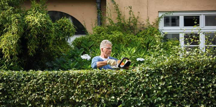 cortasetos stihl bateria hsa 45 cortasetos stihl bateria hsa 45