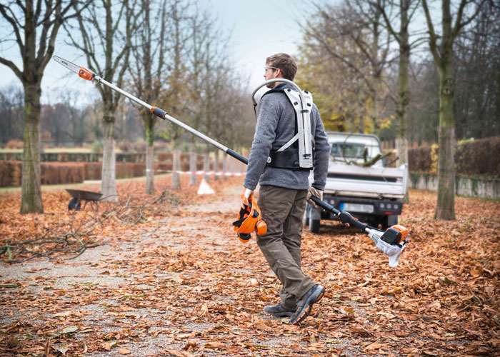 petrol pole saws
